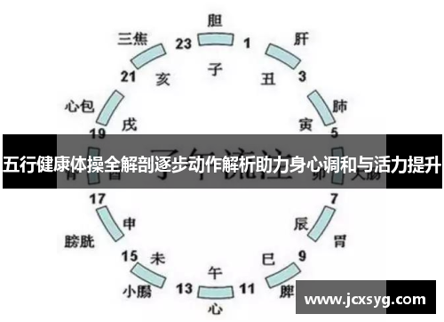 五行健康体操全解剖逐步动作解析助力身心调和与活力提升